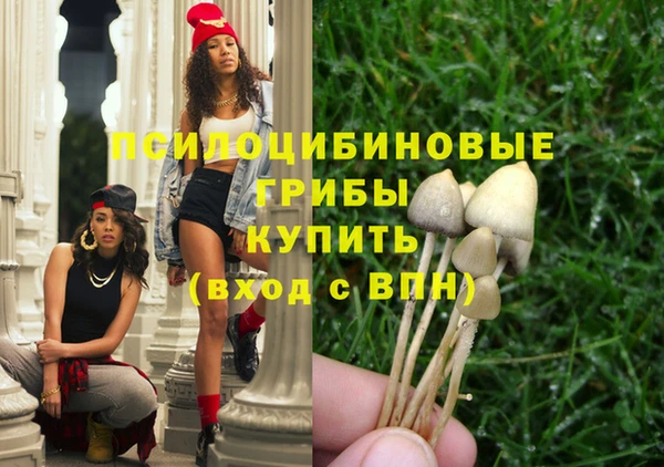 прущие грибы Алексеевка
