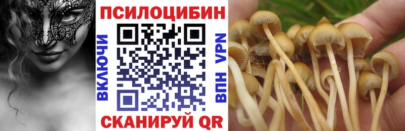 Галлюциногенные грибы ЛСД  купить   Домодедово 