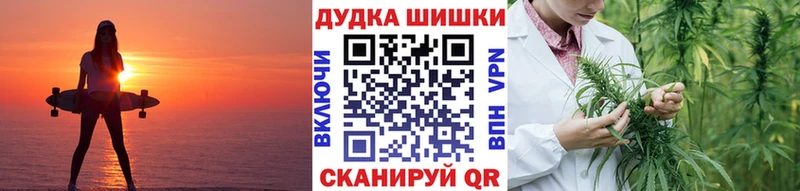 мега онион  Домодедово  Марихуана сатива 